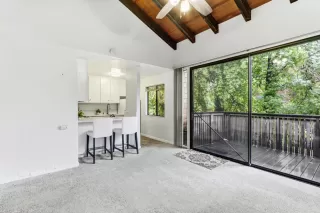 Photo #4: 225133567 Listing 