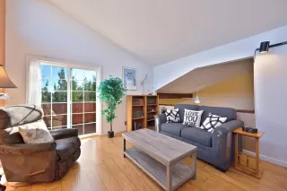 Photo #2: 225133801 Listing 