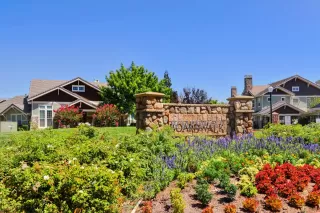 Photo #2: 225133837 Listing