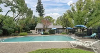 Photo #1: 225134502 Listing