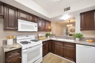 Photo #6: 225134502 Listing