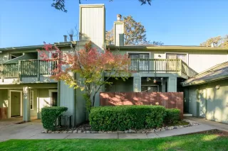 Photo #1: 225135176 Listing 