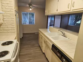 Photo #1: 225136293 Listing