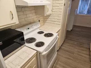 Photo #2: 225136293 Listing