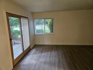 Photo #4: 225136293 Listing