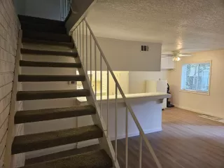 Photo #5: 225136293 Listing