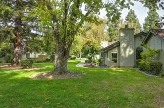 Photo #1: 225136476 Listing
