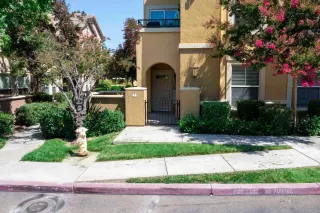 Photo #1: 225136581 Listing 