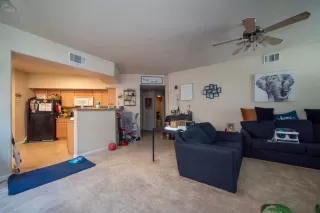 Photo #6: 225136581 Listing 