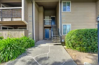 Photo #1: 225137172 Listing