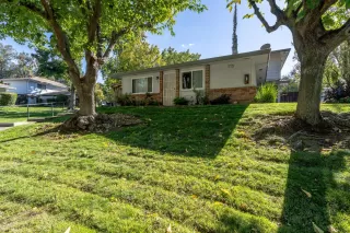 Photo #4: 225138393 Listing