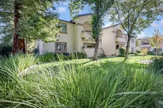 Photo #1: 225138494 Listing