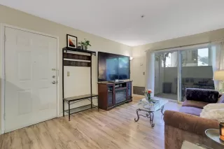 Photo #4: 225138494 Listing