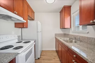 Photo #5: 225138846 Listing