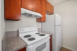 Photo #6: 225138846 Listing