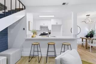 Photo #1: 225138861 Listing