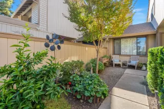 Photo #1: 225138970 Listing