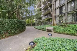 Photo #1: 225139019 Listing 