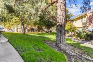 Photo #2: 225139050 Listing