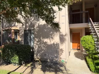 Photo #1: 225139618 Listing 