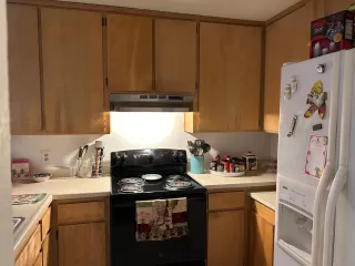 Photo #3: 225139895 Listing 