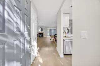 Photo #1: 225141071 Listing 