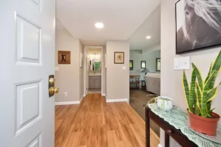 Photo #3: 225141094 Listing