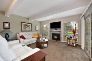 Photo #4: 225141094 Listing