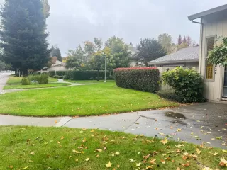 Photo #2: 225142491 Listing 