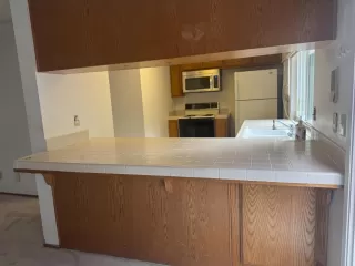 Photo #4: 225142491 Listing 