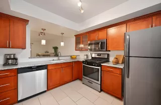 Photo #5: 225142708 Listing