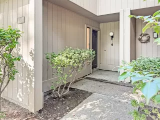 Photo #1: 225142858 Listing 