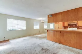 Photo #5: 225143413 Listing 