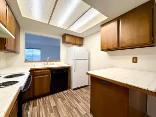 Photo #3: 225143713 Listing 