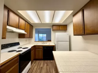 Photo #5: 225143713 Listing 