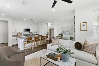 Photo #4: 225143885 Listing