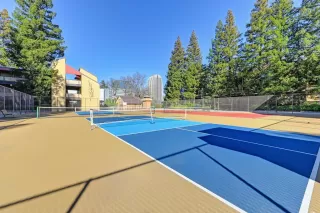 Photo #1: 225144668 Listing