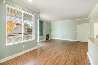 Photo #1: 225145241 Listing 