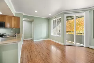 Photo #6: 225145241 Listing 