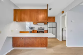 Photo #6: 225145408 Listing