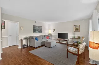 Photo #4: 225145470 Listing