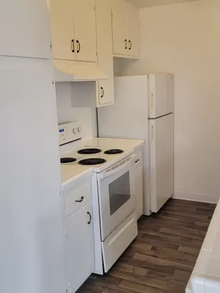 Photo #6: 225145549 Listing 