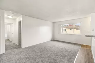 Photo #5: 225145868 Listing 