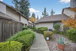 Photo #1: 225146098 Listing 