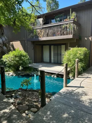 Photo #2: 225146272 Listing 