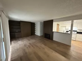 Photo #3: 225146272 Listing 