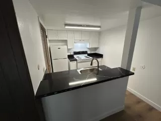 Photo #6: 225146272 Listing 