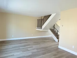 Photo #4: 225146415 Listing 