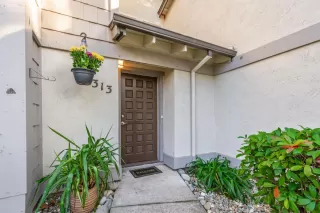 Photo #1: 225146588 Listing 