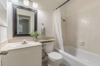 Photo #1: 225146889 Listing 